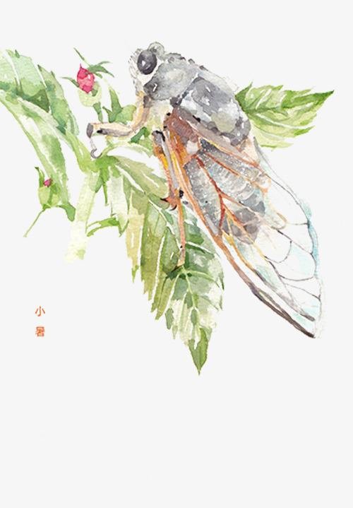 小暑诗三首 作者:王雨剑 朗诵:一帆 书法:芦荻 音频制作:酷音&飘然(图2)