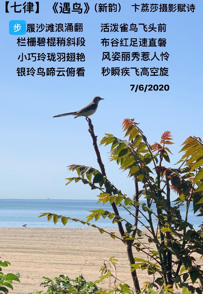 88B663C1-4AC3-4331-A92F-19E894D8CE72.