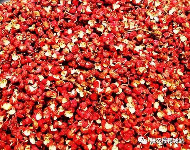 《诗写家乡》清清陶渠水：文/马德武（陕西韩城）（图10）