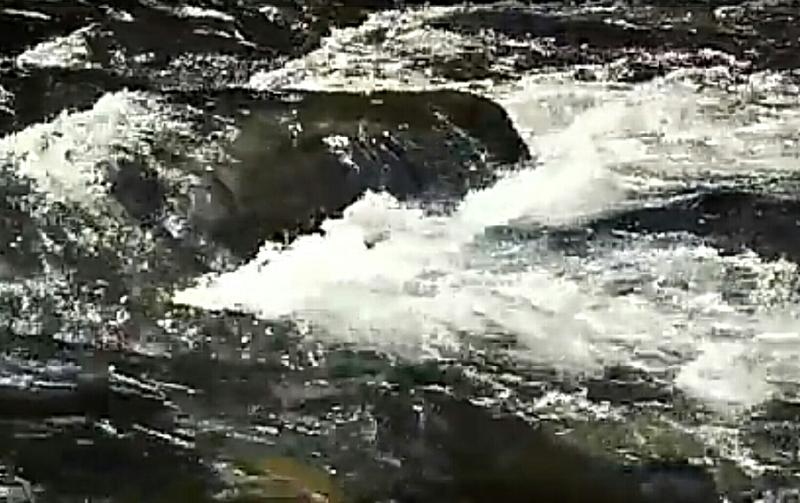 S00715-094234(1).