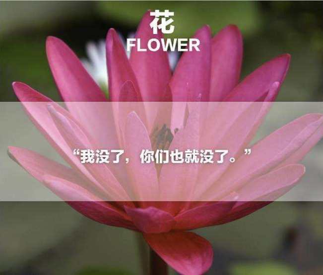 172F7806-6677-4962-8719-70F05C734C8D.
