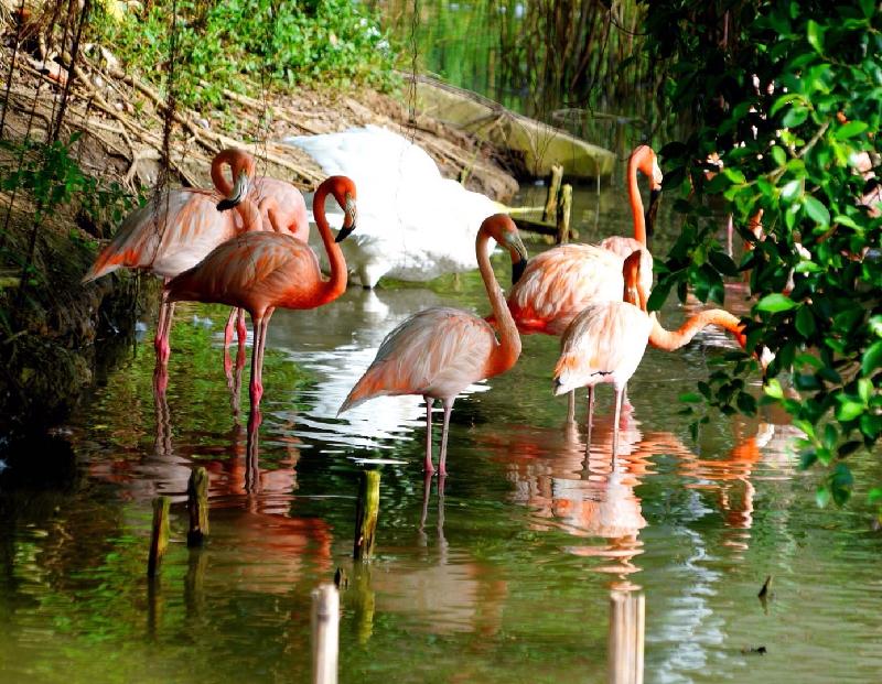 6E2F5E69-08E3-4D7D-82B8-B129222A6A22.