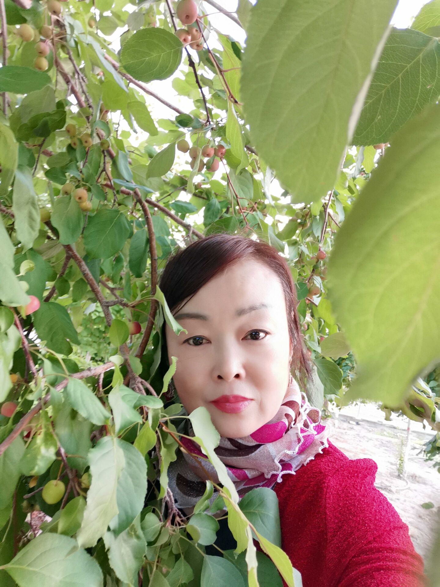 1595857198949099060.jpg QQ鍥剧墖20200719201948.jpg