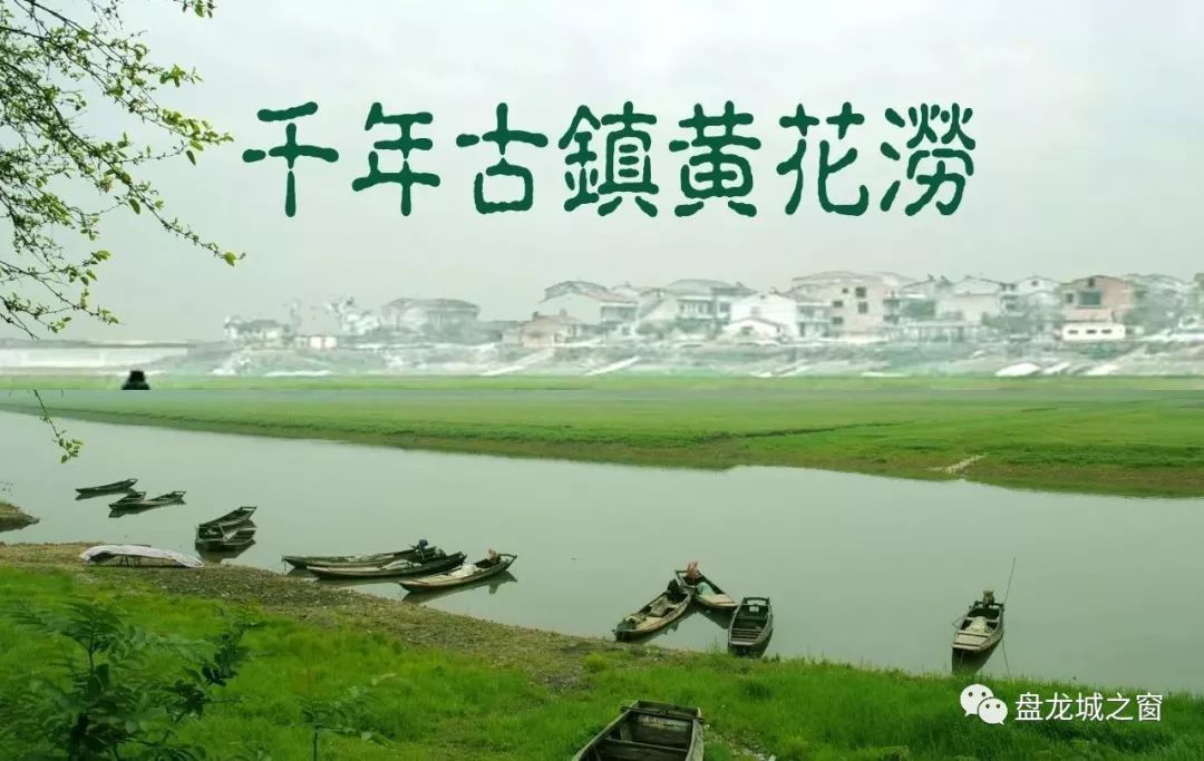 1595841753123066917.jpg 寰俊鍥剧墖_20200626162653.jpg