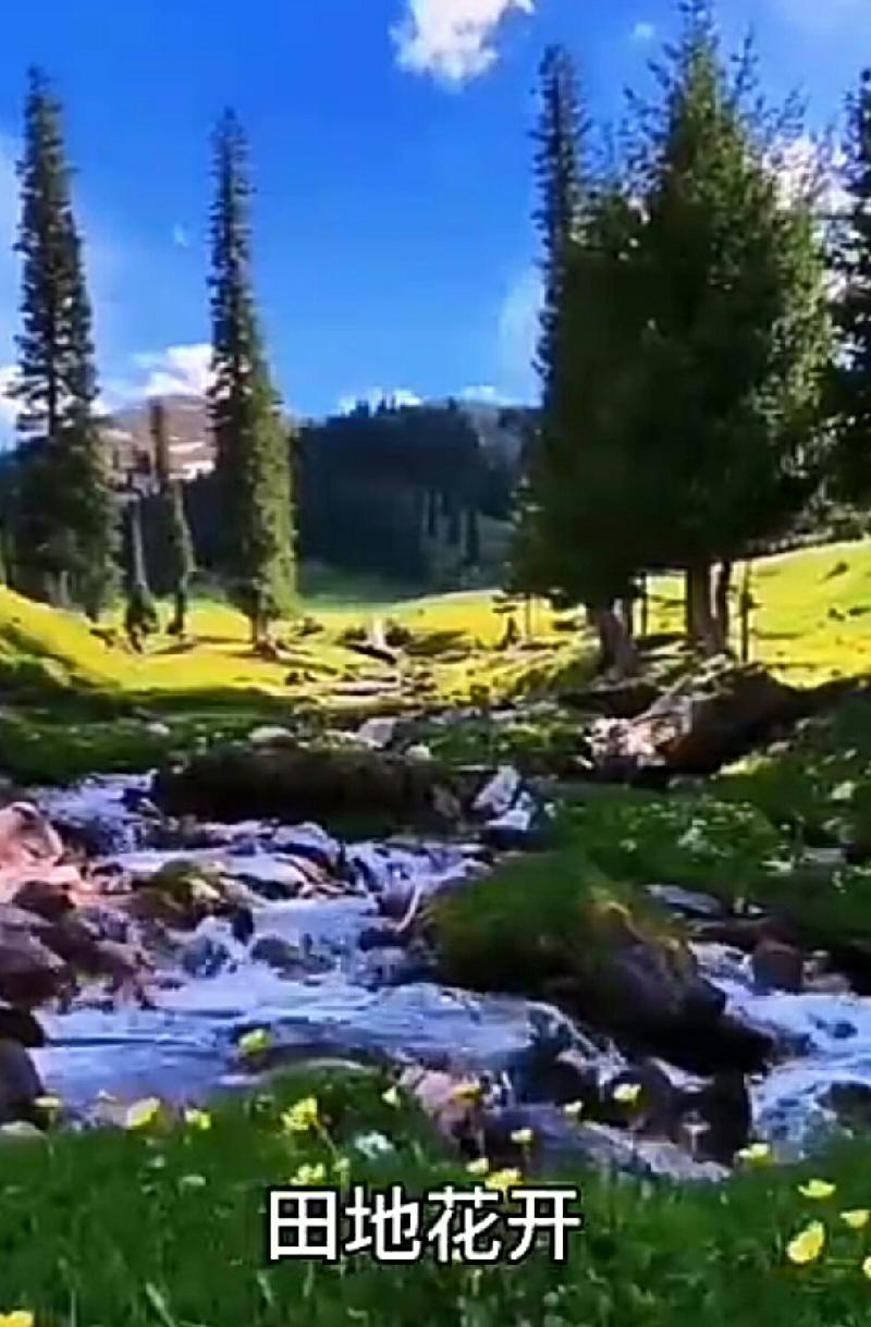 S00727-132304(1).