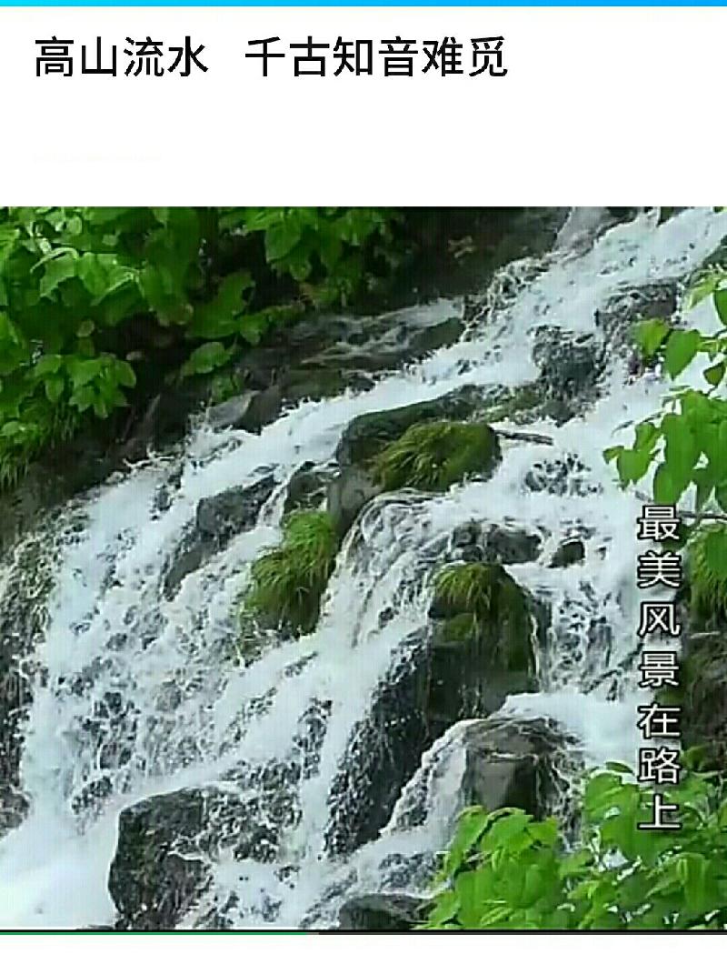 S00804-090353(1)(1)(1).