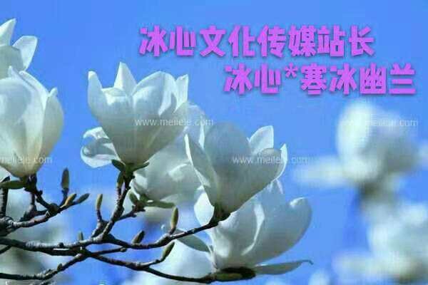 诗词组歌 文Ⅱ周海峰〔哈尔滨〕【冰心文化传媒】（图4）