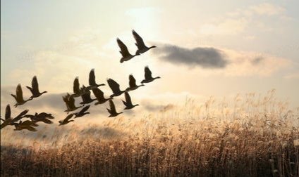 AB85BFCD-C77F-4D68-BF05-EAEEF4E69E98.