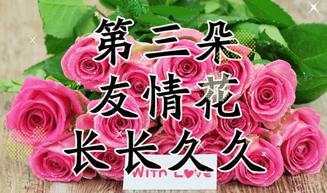 mmexport9528cb7c576ae31982e66ae7d02dbf10.