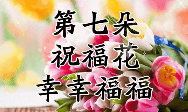 mmexport4507629501e6fd748ebbebba72488ca1.
