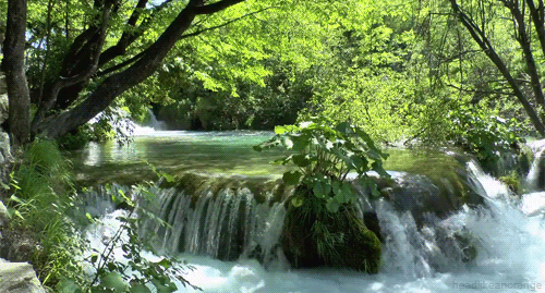 1598584876333091565.gif bnm (22).gif