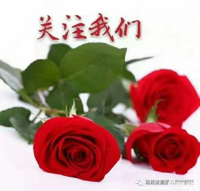 mmexportc7123142c81bdbd2f86154ff72bd8fef.