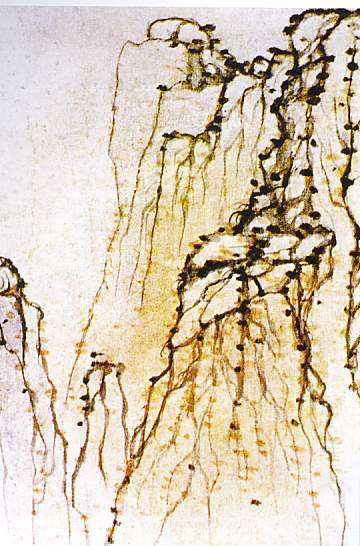 1601860478541017066.jpg timg.jpg