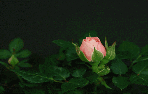 09E74CFC-22C6-437B-9EB9-7AD8EBF8C3E5.