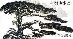 【潇湘文学社】今日同题《松》（图9）