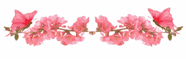 timg (8).gif