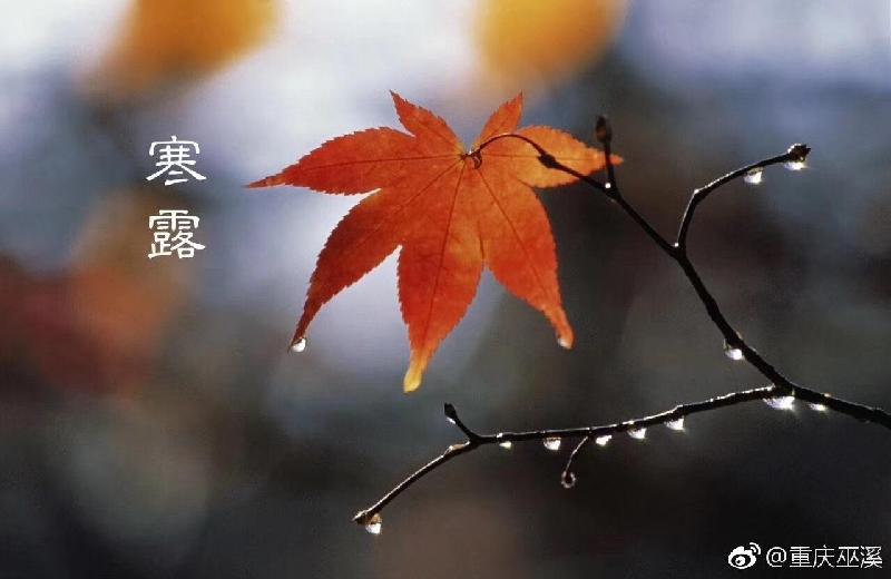 【翰林国粹诗社】才子刊《001期》(图40)