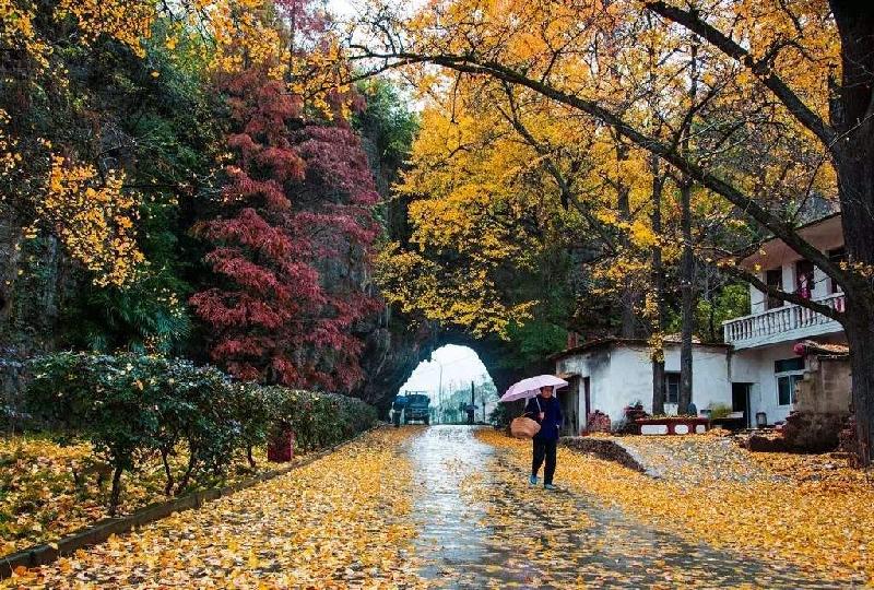 【翰林国粹诗社】才子刊《001期》(图47)