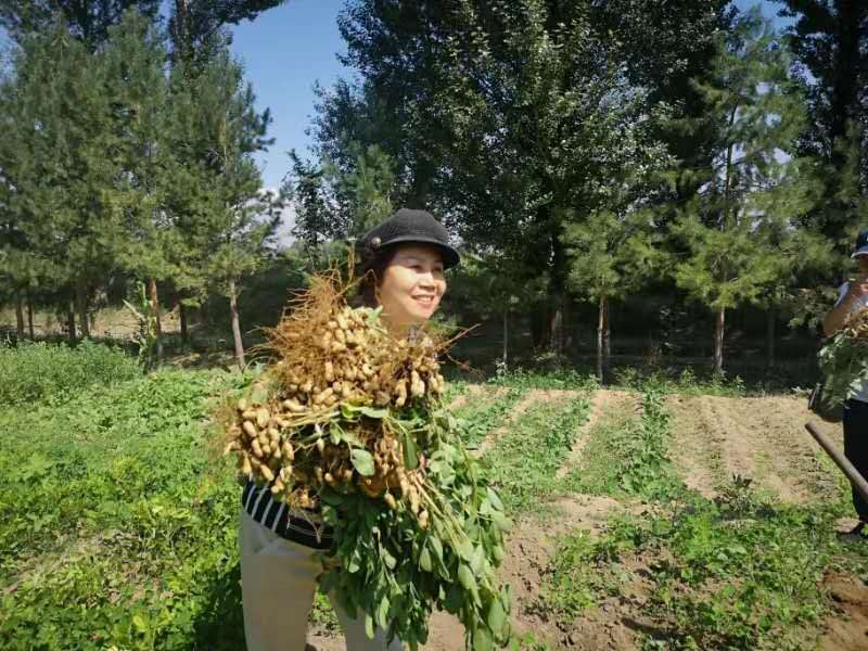 寰俊鍥剧墖_20200413133852.jpg