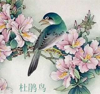 1604066177927042900.jpg timg (19).jpg