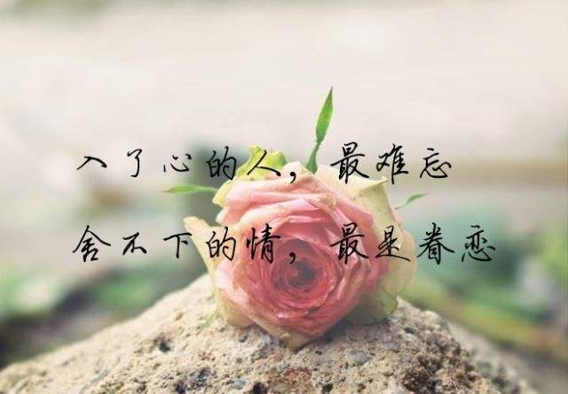 此刻 也许 遥远的你,已经熟睡去 但是 我还在把你惦记 你还一直