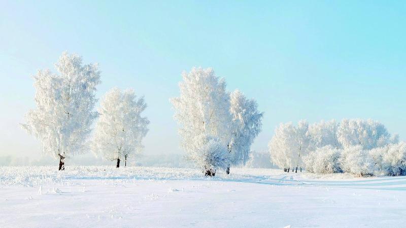 【潇湘文学社】今日同题《雪》(图17)