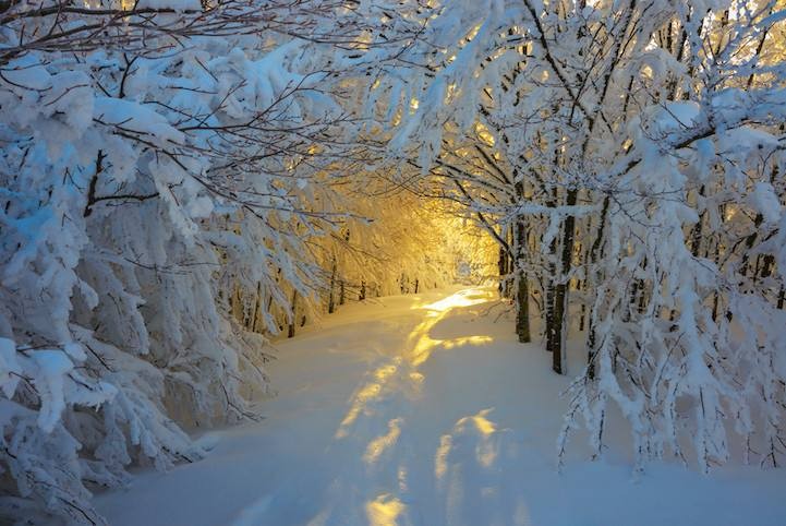 【潇湘文学社】今日同题《雪》(图13)