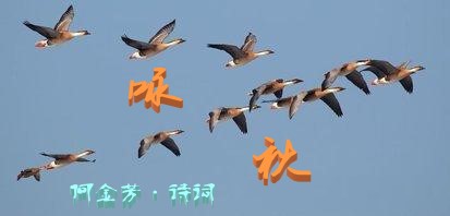 1604459133198099510.jpg 璇?.jpg