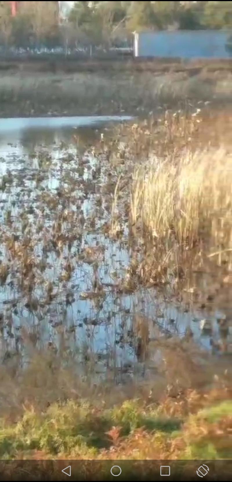 Screenshot_20201108_213810_com.tencent.mm.