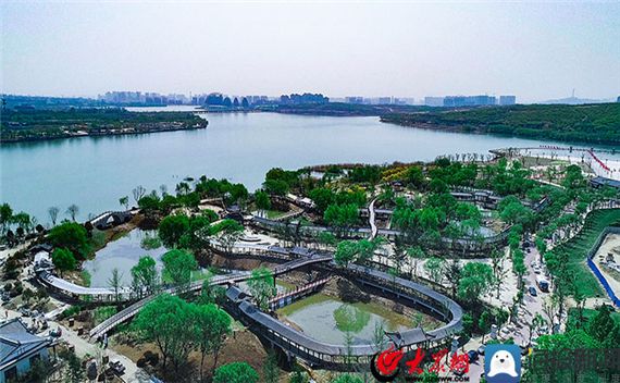 timg-1605075785472.