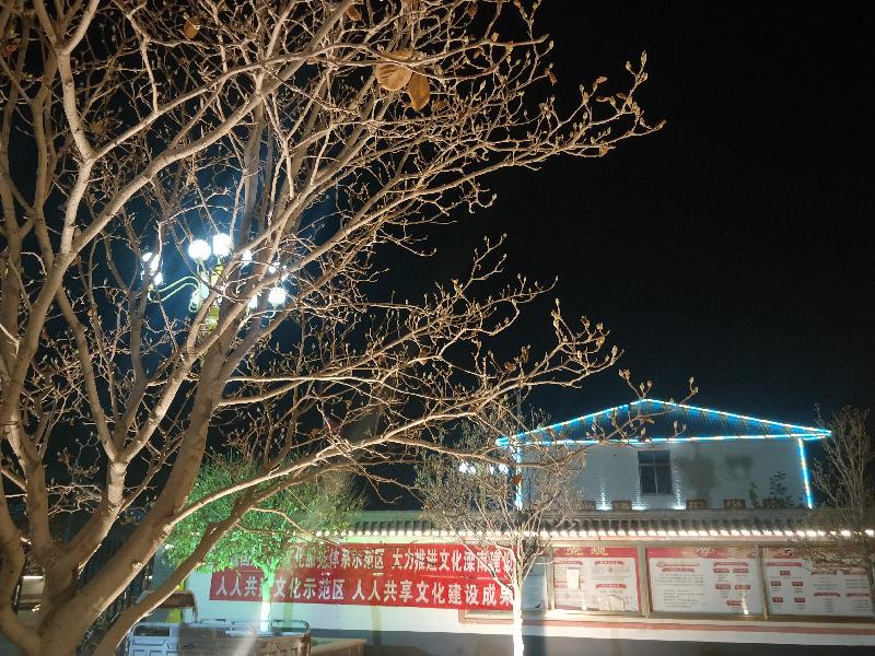 IMG20201111201106.