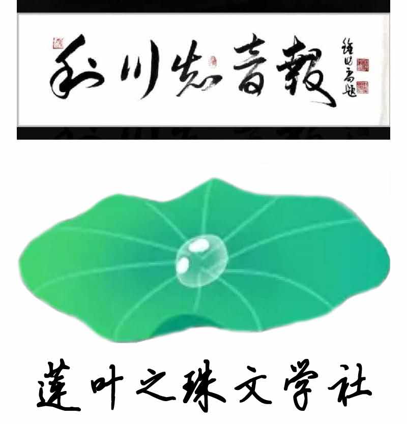 mmexport1601178552829.