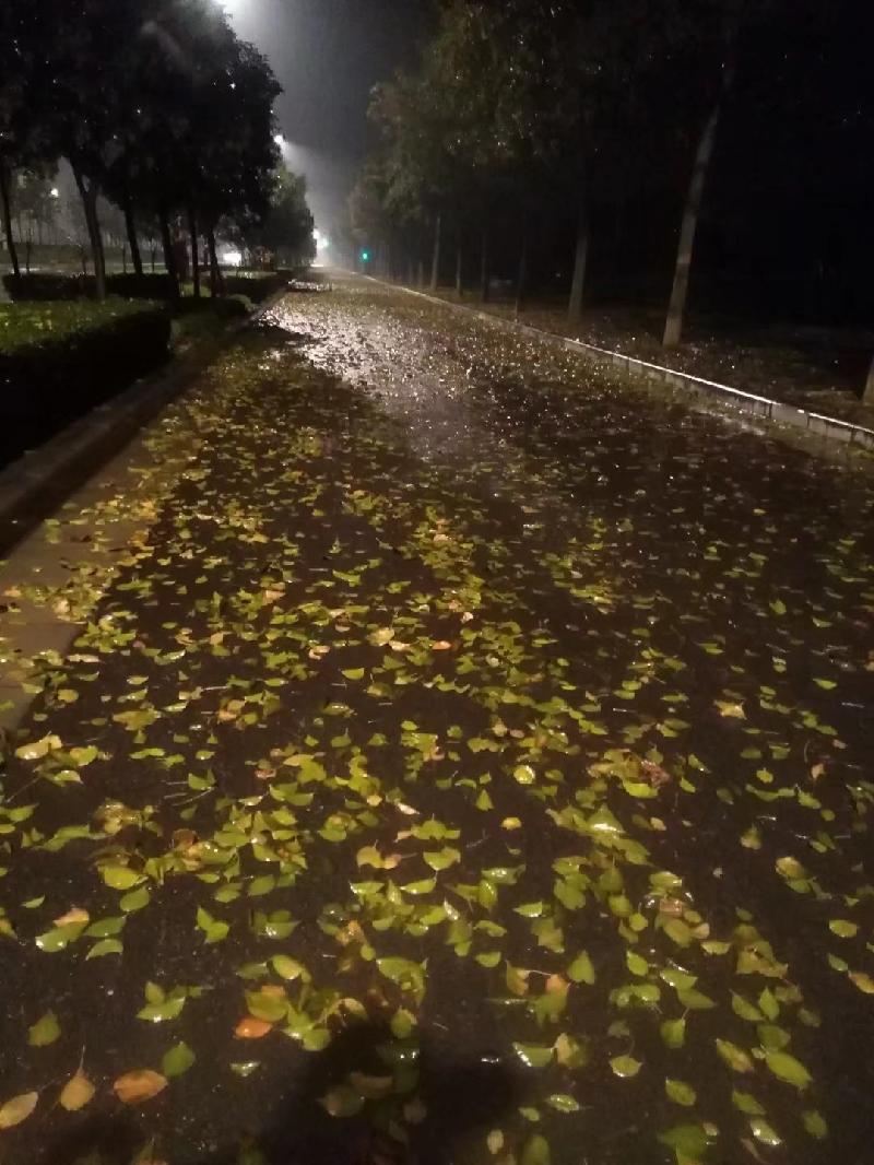 1605232133656.