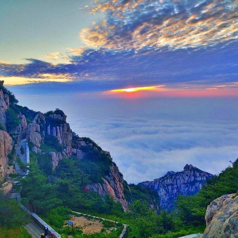 滿江红·全无惧-京津沪头条 泰山一青松 山东临朐