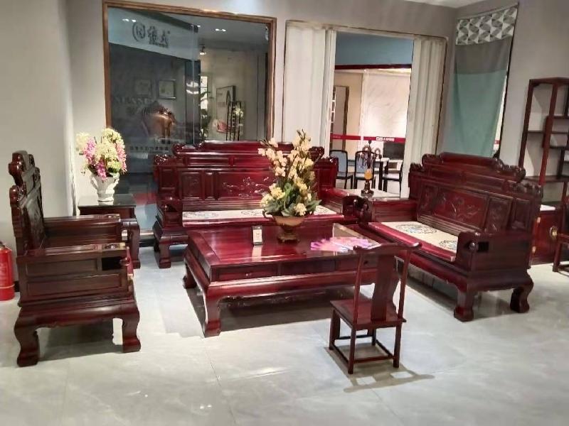 《征文赛八》眼中的香樟树:作者/蓝田玉(陕西西安)(图5)