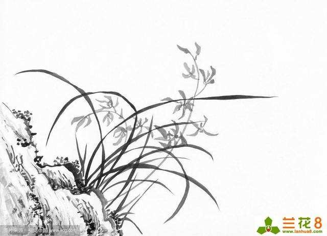 朝阳诗词学会培训班诗友作品集萃（图2）