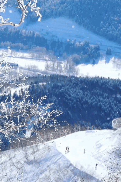 洛城第一场雪（外一首） 作者：竹林（河南洛阳）（图3）