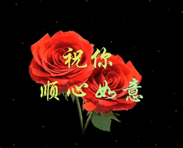 1607934346037076216.gif 1601323345162.gif