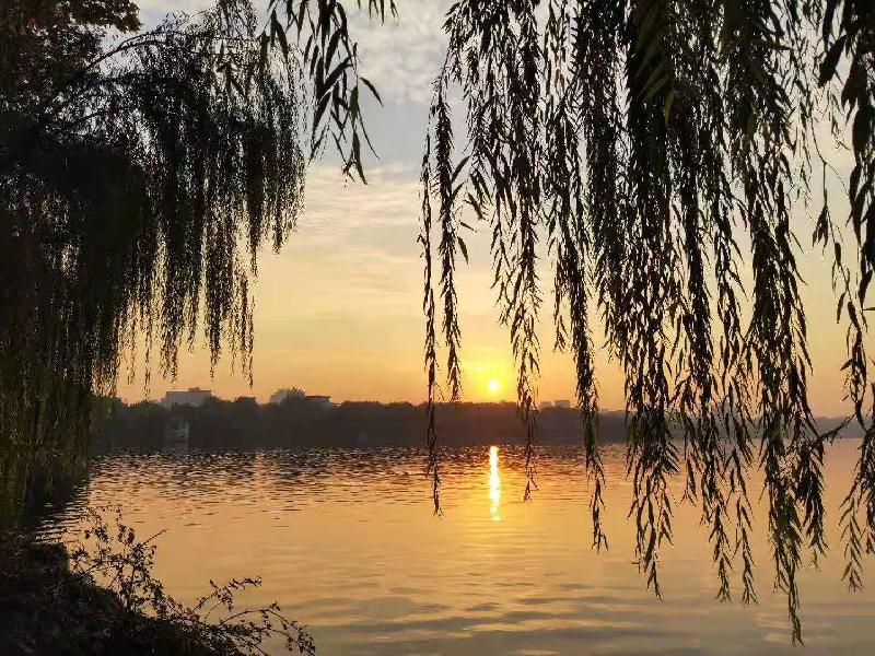 西湖（原创） 文/蒋晓枫（浙江杭州） 制作：冰心.幽蓝【冰心文化传媒】（图3）