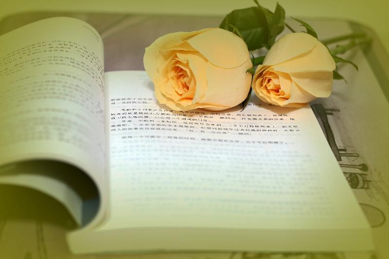 【同题】月光森林(组诗14首) 天随子(贵州)【冰心文化传媒】(图13)