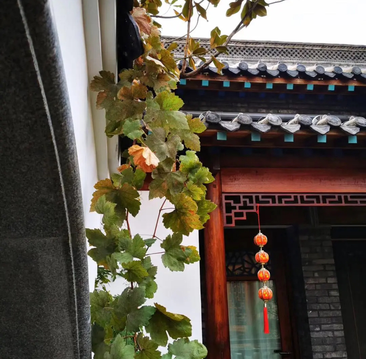 【新诗大观】微型诗十首||文/李登科（图3）