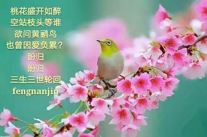 【七绝五十六法习作合集】【上海诗社专稿】文/梦湖苑(加拿大)【冰心文化传媒】(图52)