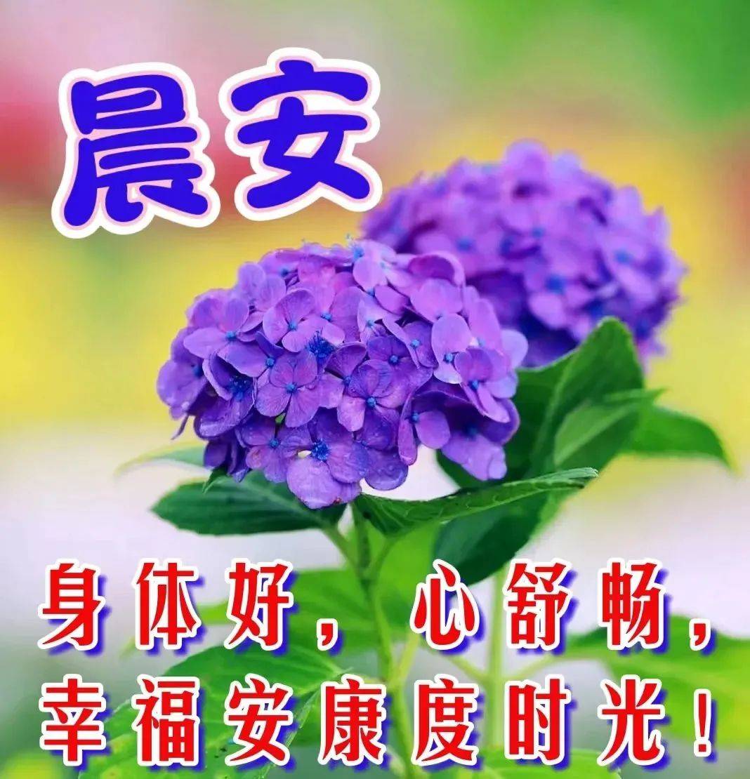 徐玉兰、张希诵读《清晨醒来，问您早安》 作者：任学路（图7）