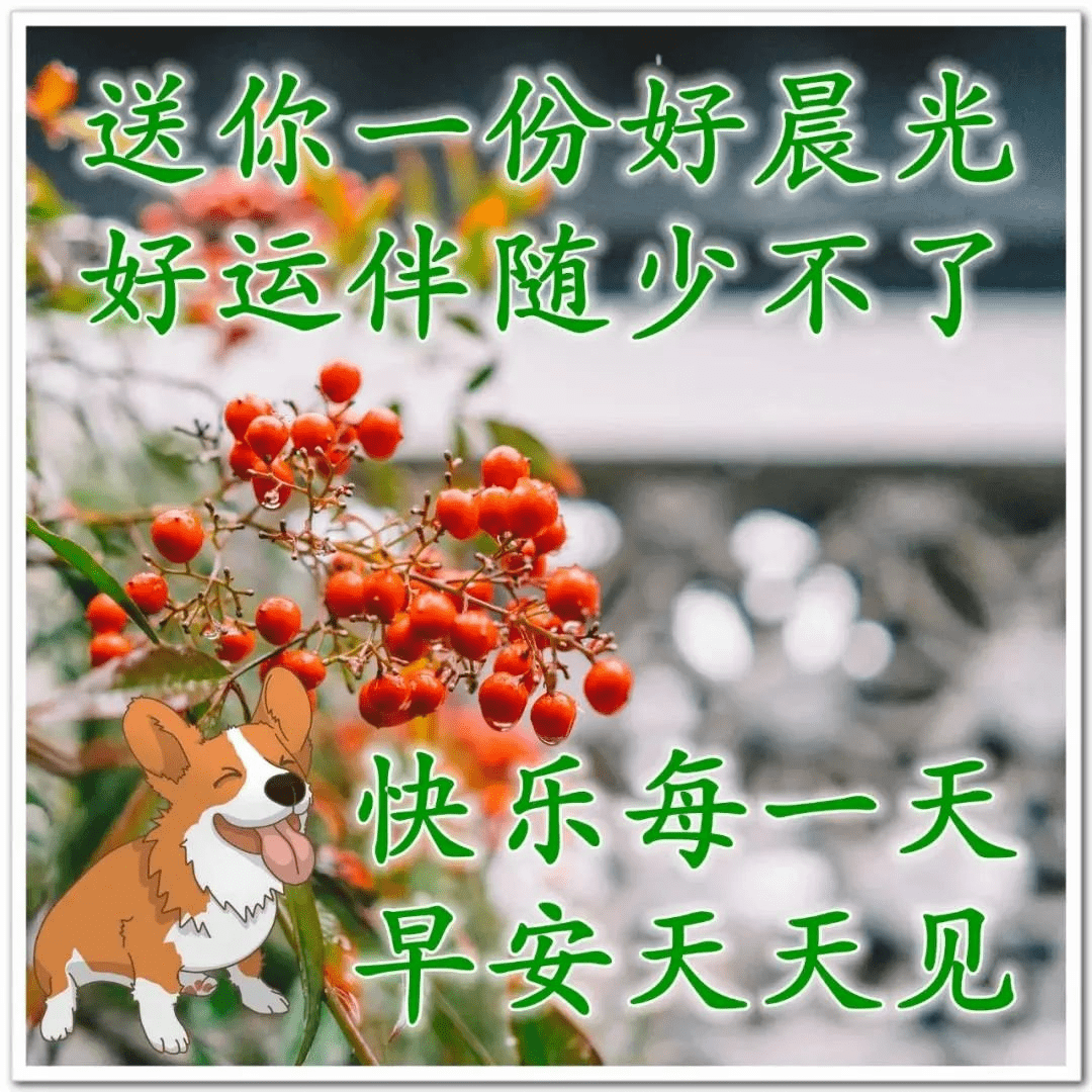 徐玉兰、张希诵读《清晨醒来，问您早安》 作者：任学路（图9）