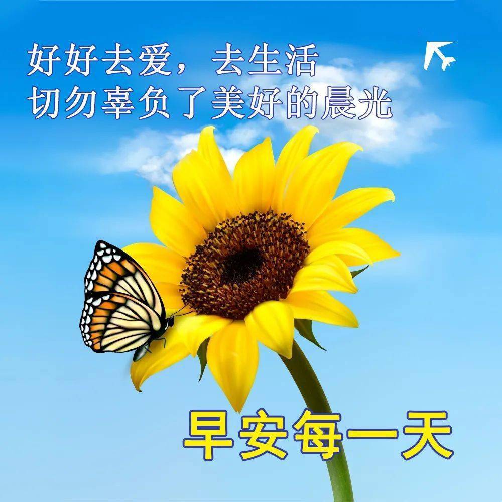 徐玉兰、张希诵读《清晨醒来，问您早安》 作者：任学路（图8）