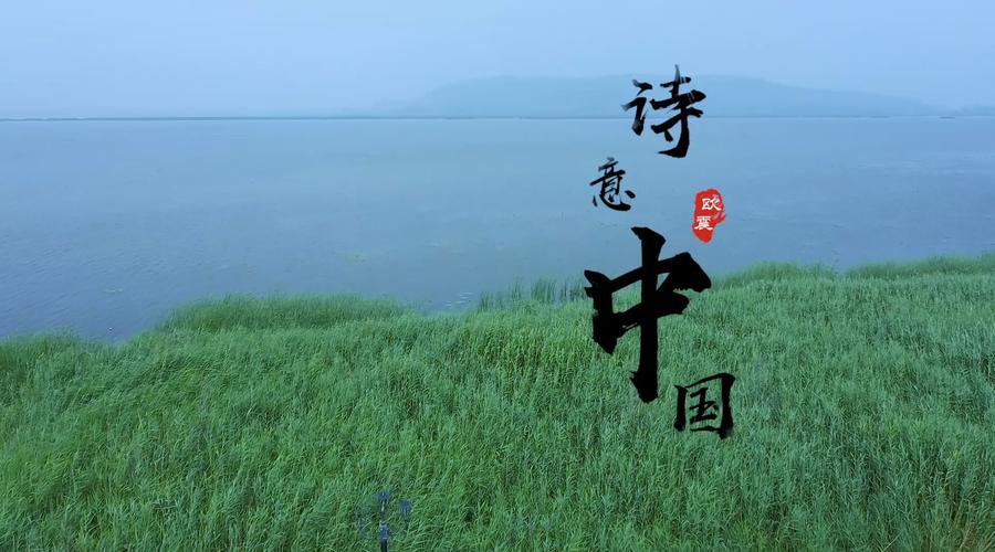梁晓东//吴肃//对诵《诗意中国》 作者：欧震（图4）