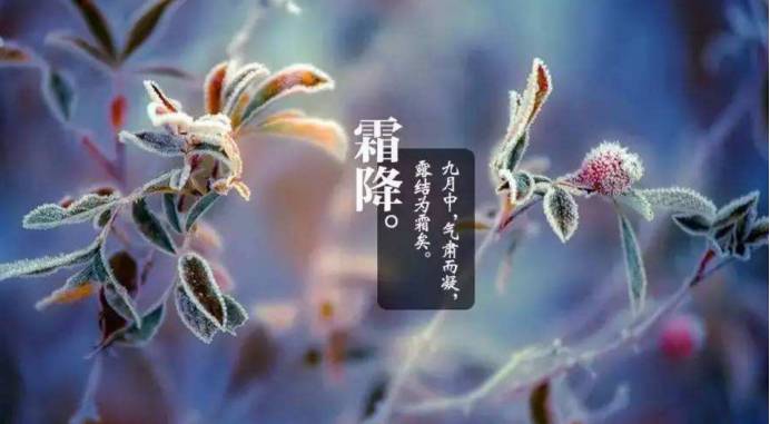 霜降 // 李庆余