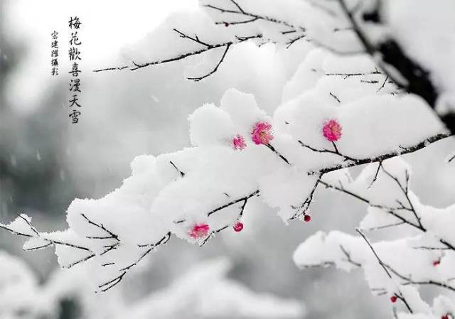 诗城词都：张建华宋俊忠邱光军《大雪》雅和（图3）