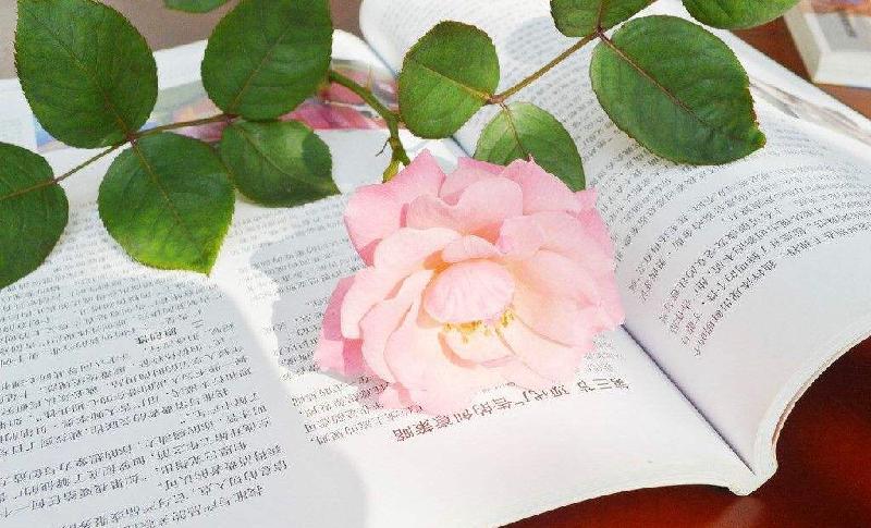 65A82C79-7230-49C2-A8AA-04B4A548B870.