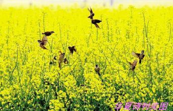 1582290572024089924.jpg D:\Documents and Settings\Administrator\u5997岄潰\u93c2板缓鏂囦欢澶筡鍗庡缇庡浘灞辨按\u93c4ュ厜.jpg